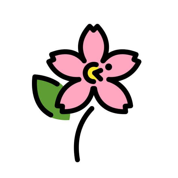 Kirschblüte