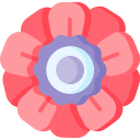 Gerbera