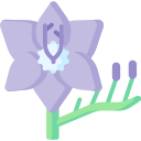 Lavendel